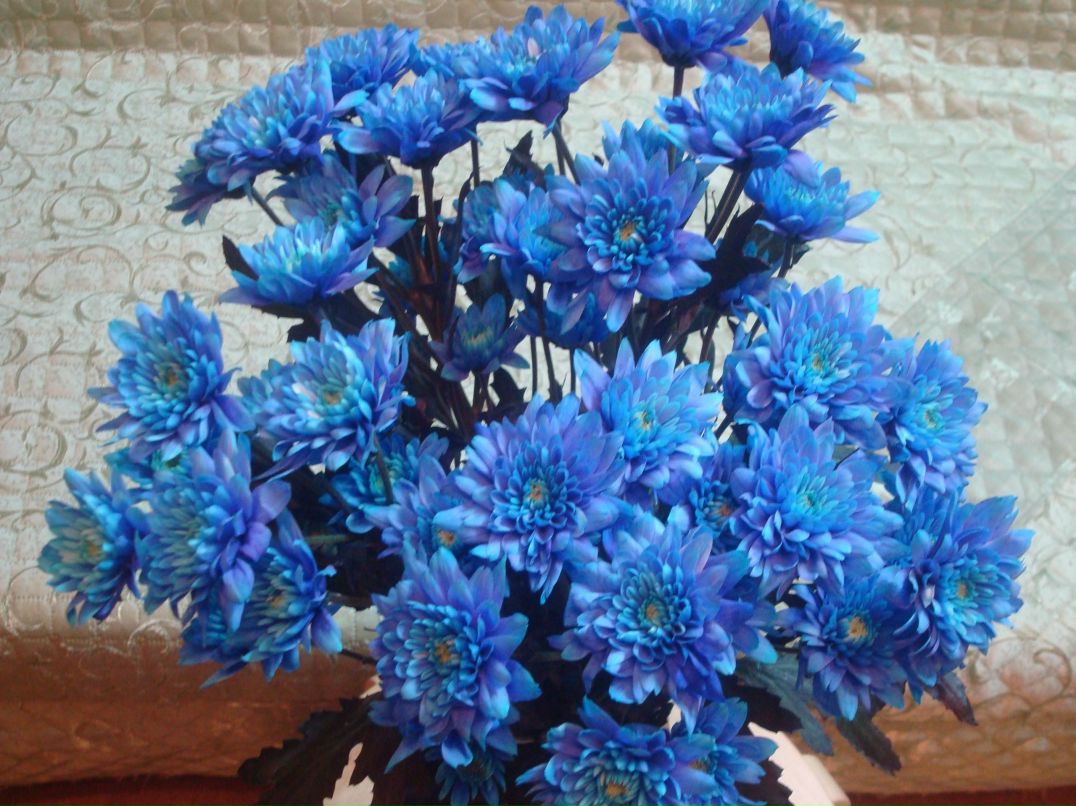 Наталья Кабаченко | 