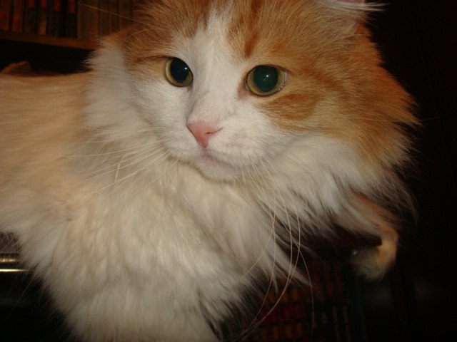 Марина Хрусталева | Тихвин