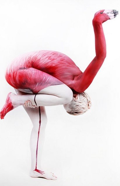 Александра Евдокимова | Днепр (Днепропетровск)