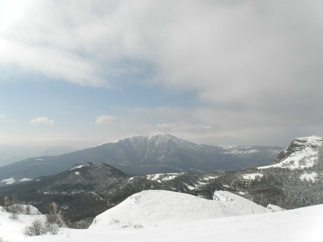 Мария Червоненко | Донецк