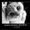 Аватар: Sedfgfnfsdd Sdfghfdsfgfdsadf