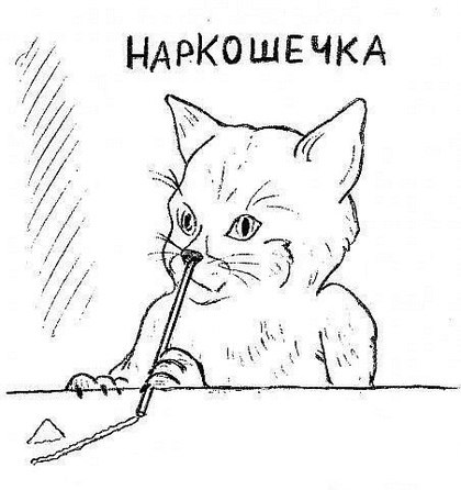 Анастасия Плесецкая | Каменск-Уральский