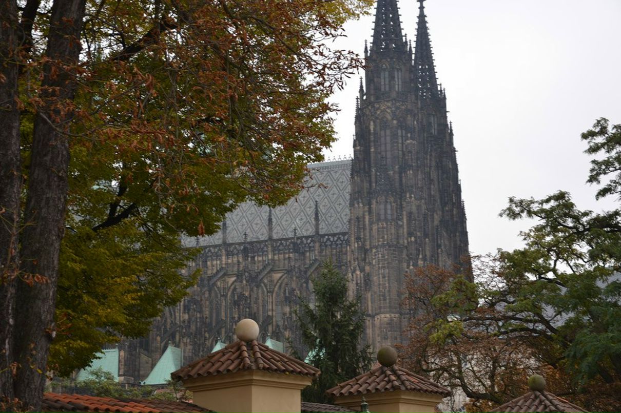 Наталия Молдованова | Одесса