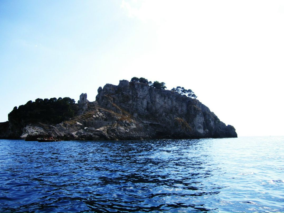 Регина Сагдеева | Новосибирск