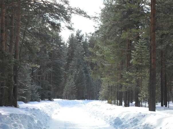 №107, Татьяна Михеева-Яковлева, 60 лет, Череповец №107, Татьяна Михеева-Яковлева, 60 лет, Череповец
