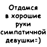Илья Кочкин | 