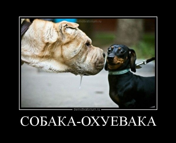 Андрей Лефутуренко | Киев