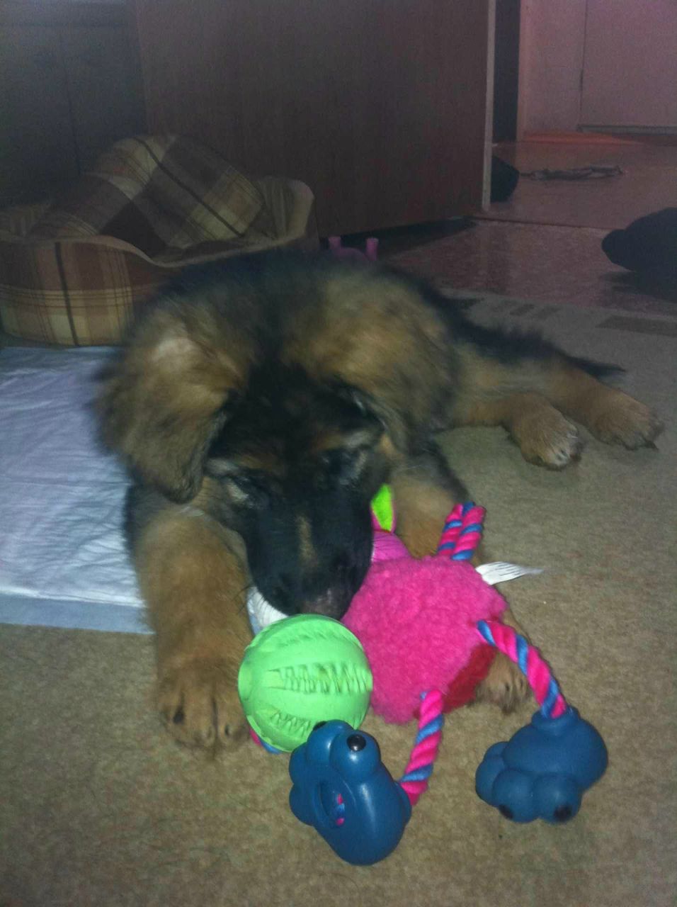 Екатерина Болдина | Москва