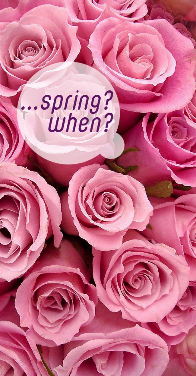 Maria Amorales | Москва