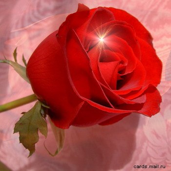 №1, Гордеева №1, Гордеева