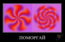 Фотография Ксения Фомина