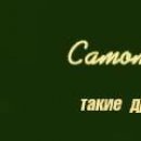 №11, Екатерина Васильева, 35 лет, Бугульма №11, Екатерина Васильева, 35 лет, Бугульма