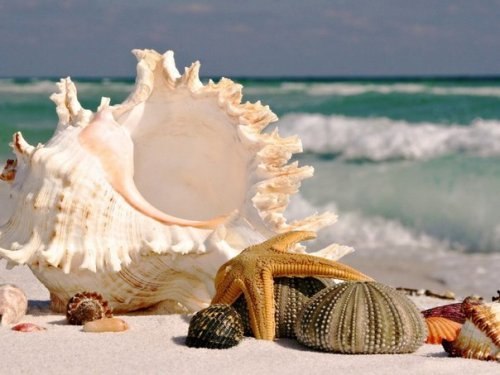 Мария Киреенко | Кондопога