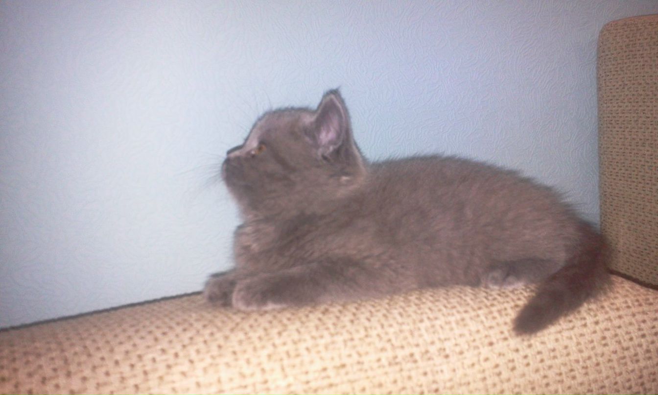 Оля Кондратенко | Лисичанск