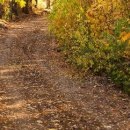 №130, Олег Водинов, Череповец №130, Олег Водинов, Череповец