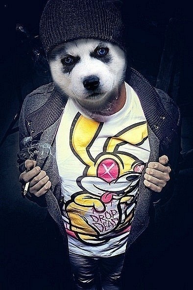 Данил Смирнов | Москва