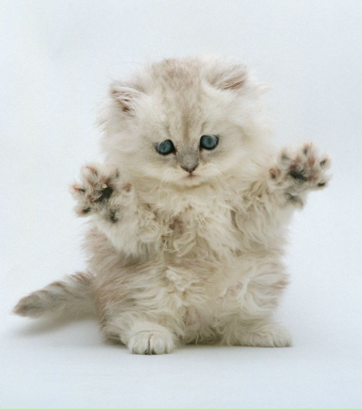 Леша Куткович | Могилёв