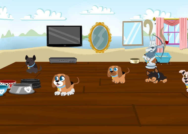 Денис Савченко | Новосибирск