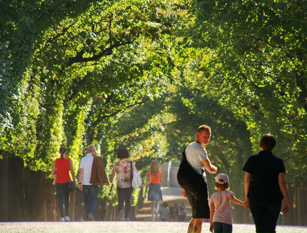 Сергей Симонов | Санкт-Петербург