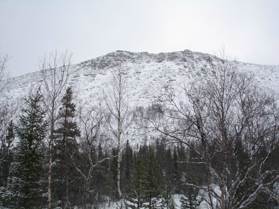 Демьян Лесик | Санкт-Петербург
