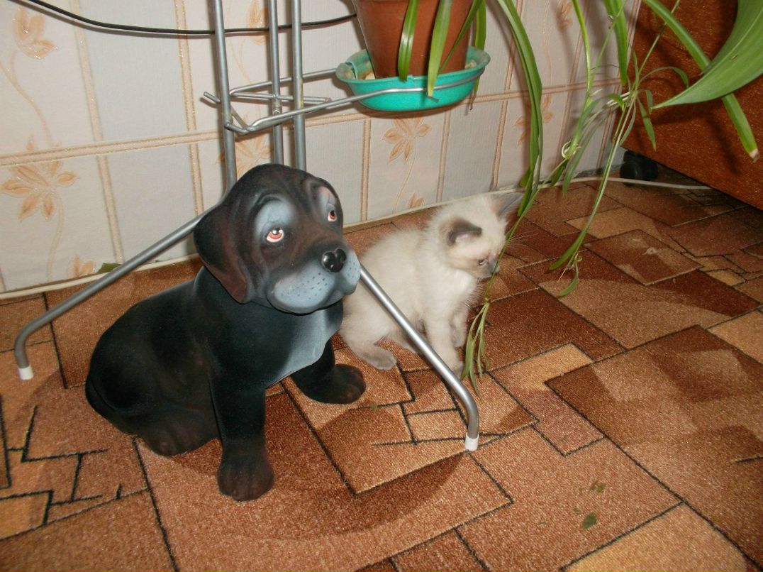 Наталья Апполинарьева | Валдай