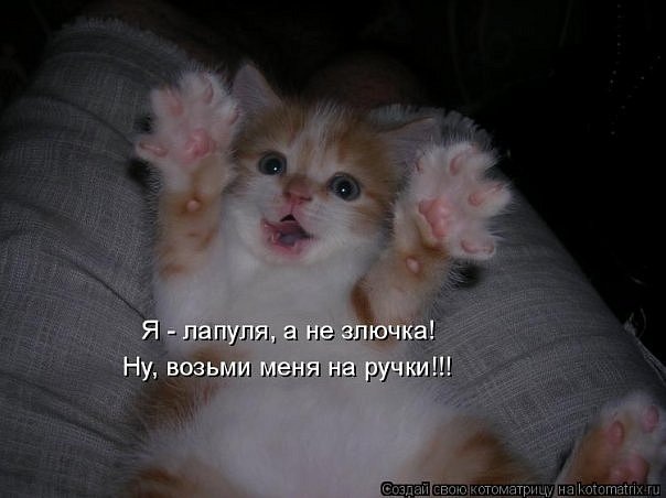 №26, Анастасия Николаева, 38 лет, Мурманск, Россия №26, Анастасия Николаева, 38 лет, Мурманск, Россия