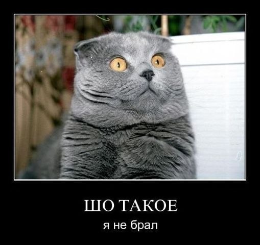 Оксана Фрейдензон | Nürnberg