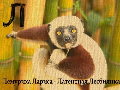 Виктор Панкратов | Керчь