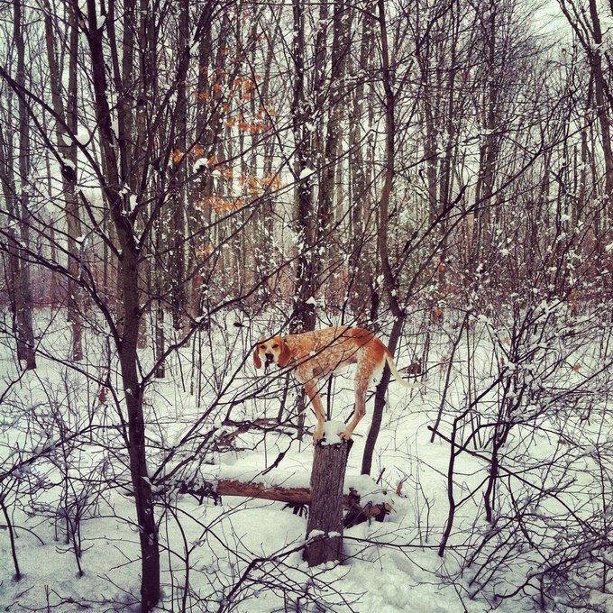 Анна Грибоедова | Санкт-Петербург