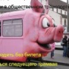 Аватар: Паша-И-Дима Букин