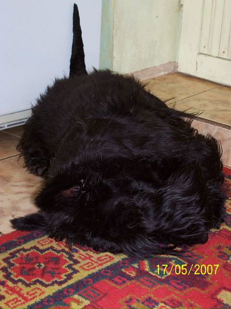 №13, Ольга Кузнецова, 26.6 №13, Ольга Кузнецова, 26.6