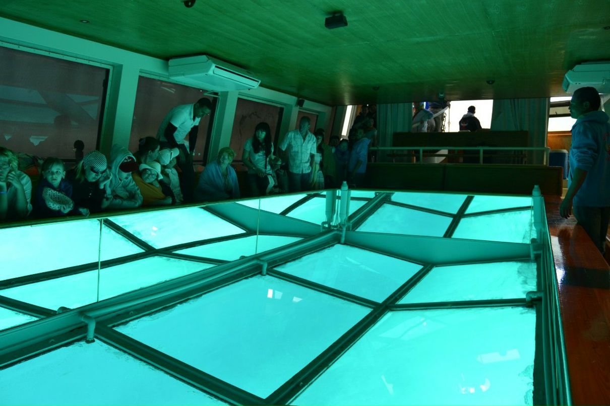 Владимир Полежаев | Березники