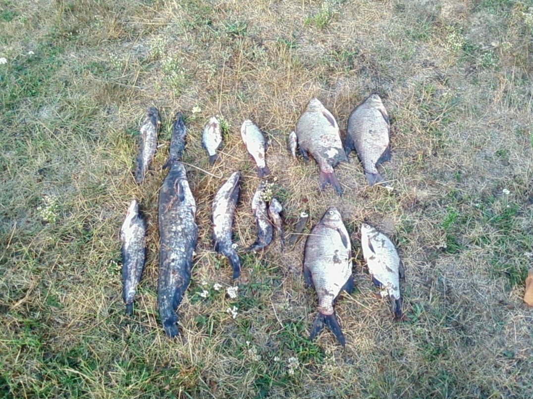 Андрей Шуляк | Киев