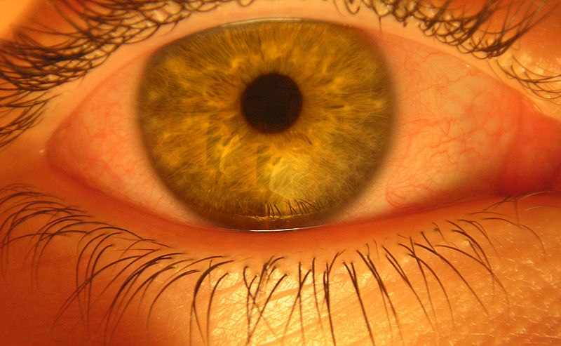 Николай Левша | 