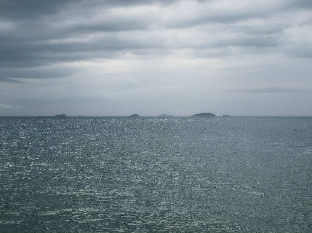 Яна Карбиевская | Санкт-Петербург