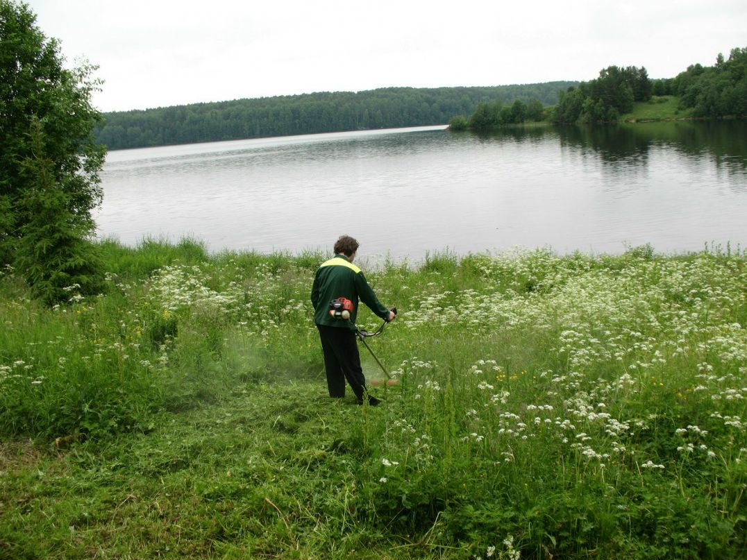 Елена Румянцева | Санкт-Петербург