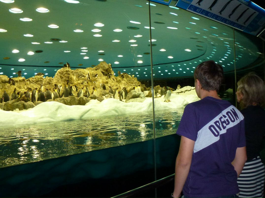 Владимир Богатырь | Владивосток