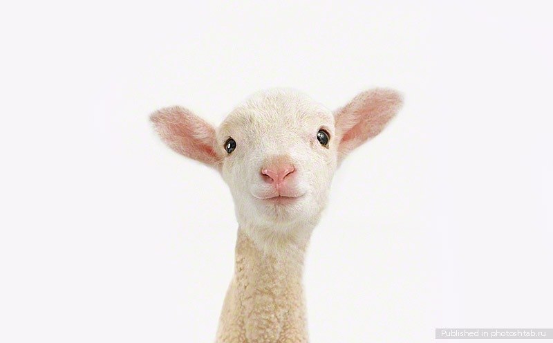 Жизнь Одна Чудо | 