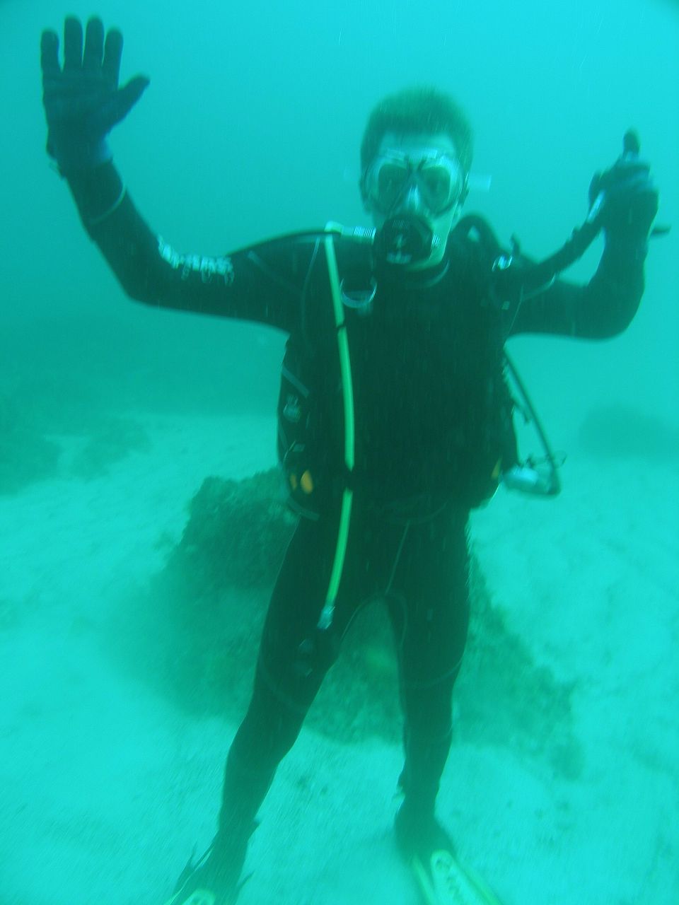 Димчик Сова | Донецк