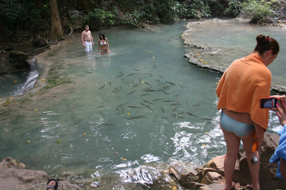 Наталья Тимофеева *Таша* | Санкт-Петербург