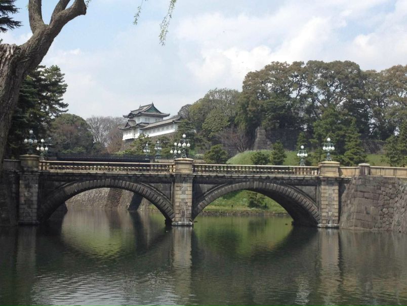 №40, Наталья Скрипка №40, Наталья Скрипка