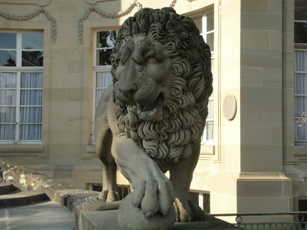 Марина Торгашова | Самара