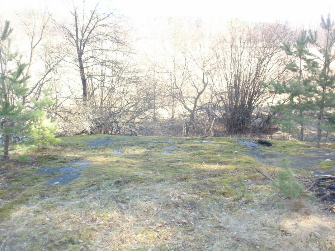 Борис Блаженний | Киев