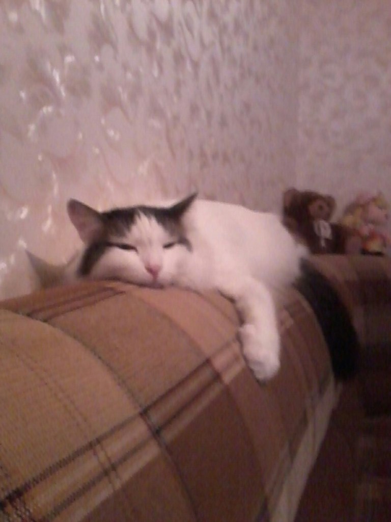 Людмила Сачкова | Солнечногорск