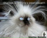Фотография Мария Гребнева