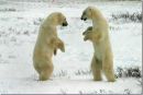 №23 Наталья Войцеховская 19.01: профиль, фото, статус - ВКонтакте №23 Наталья Войцеховская 19.01: профиль, фото, статус - ВКонтакте