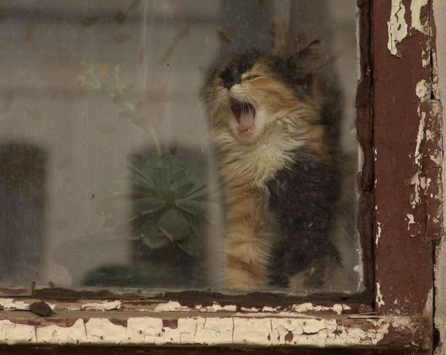 Юленька Сулейманова | Raleigh