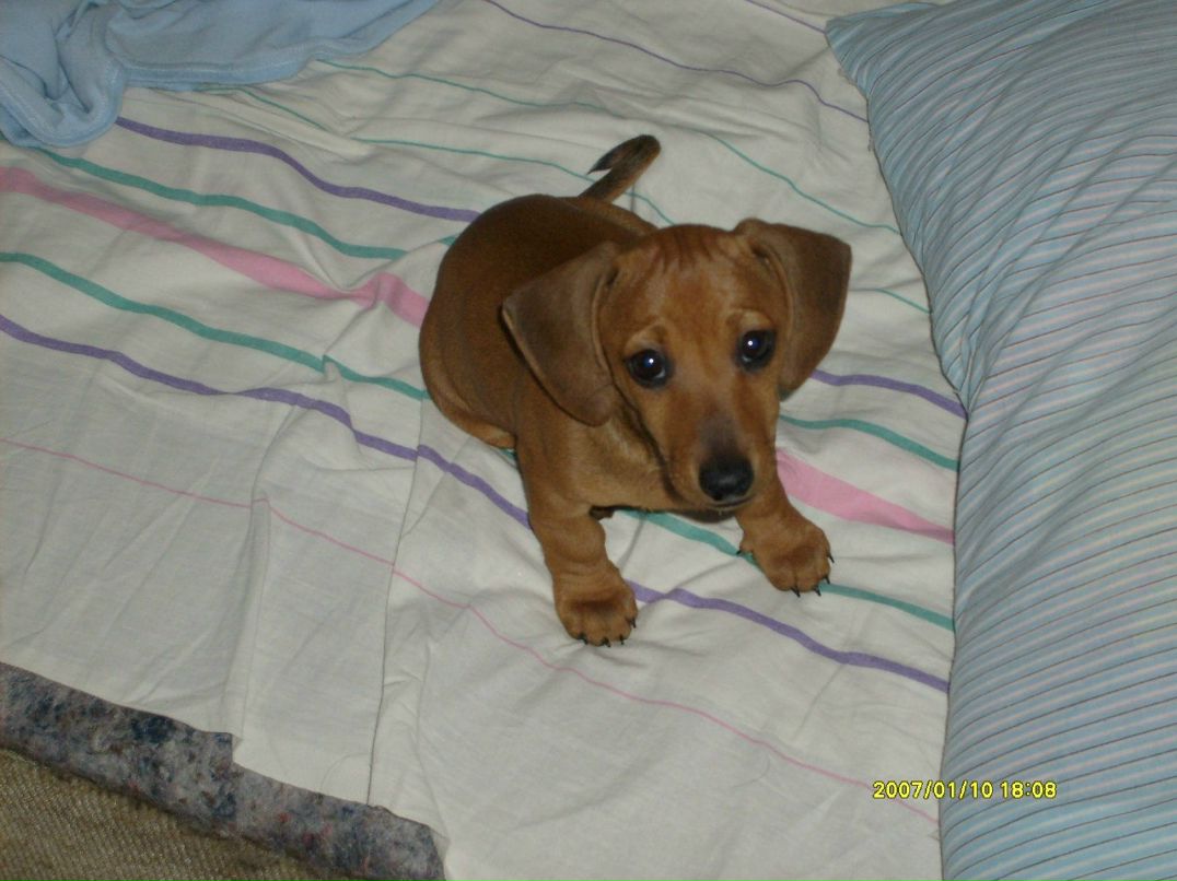 Ирина Семенкова | Коряжма