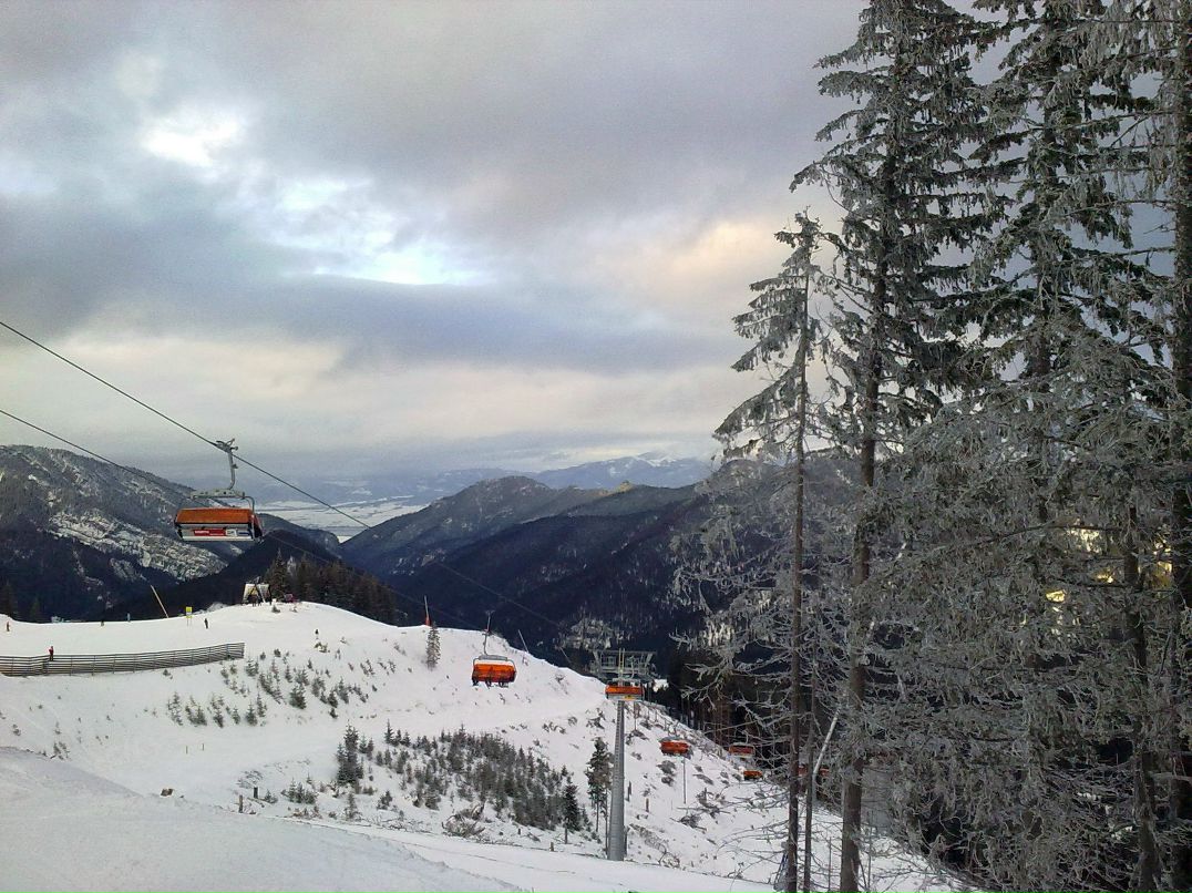 Олена Савченко | Чернигов