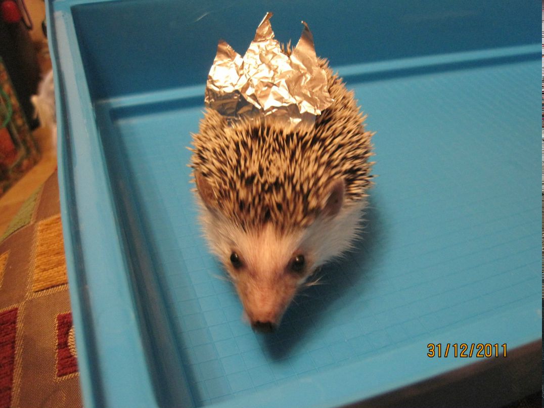 Тамара Мерзлова | Пермь